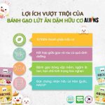 [Date 2027] Bánh gạo lứt ăn dặm hữu cơ dạng que Alvins 25g cho bé từ 6m+ - Image 2