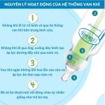 [hàng Mỹ] Bình sữa Dr. Brown's cổ hẹp (cổ thường) option plus cho bé - Image 4