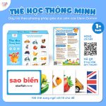 Đồ chơi giáo dục Bộ thẻ học thông minh Glenn Doman cho bé