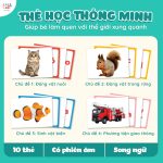 Đồ chơi giáo dục Bộ thẻ học thông minh Glenn Doman cho bé - Image 3