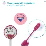 [mã mới] Bàn chải đánh răng Chicco nhiều mẫu cho bé từ 3-6 tuổi - Image 5