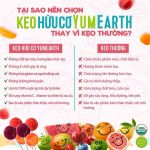 [HCM] Kẹo hữu cơ YUMEARTH Kẹo organic Kẹo mút Kẹo dẻo cho bé vị trái cây - Image 2