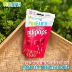 [HCM] Kẹo hữu cơ YUMEARTH Kẹo organic Kẹo mút Kẹo dẻo cho bé vị trái cây - Image 5